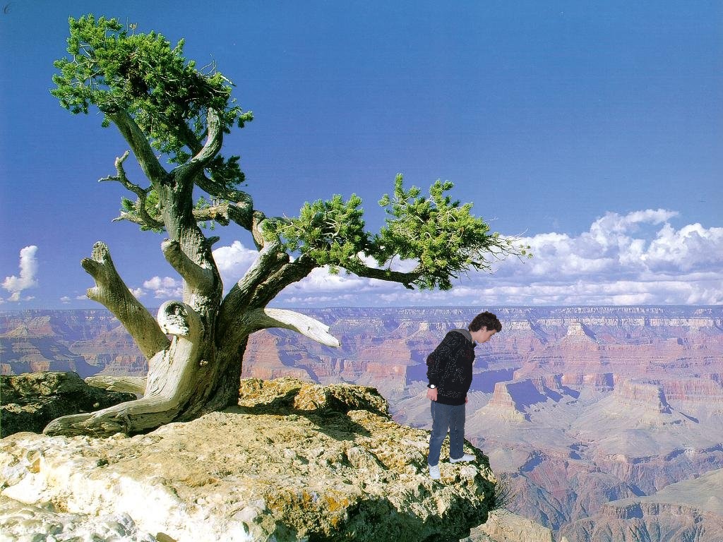 05 Grand Canyon DylanM.jpg