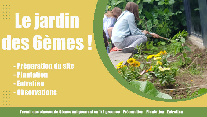 Jardin des 6èmes copie.jpg