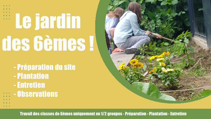 Jardin des 6èmes copie.jpg